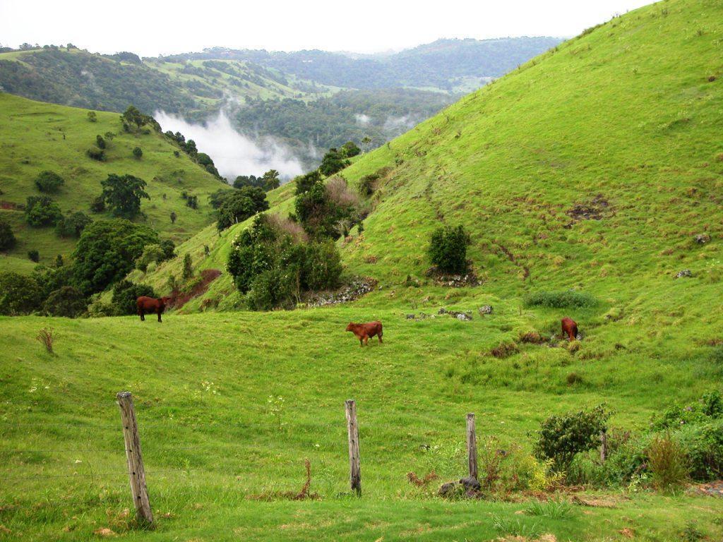 Top Of The Hill Maleny Bagian luar foto
