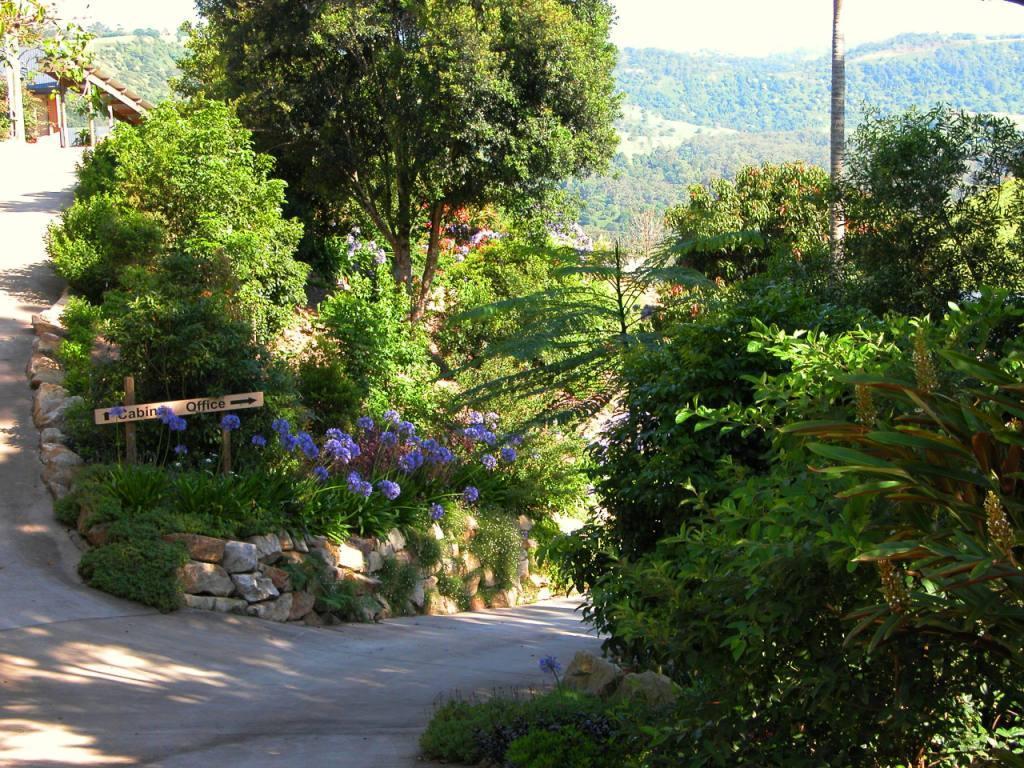 Top Of The Hill Maleny Bagian luar foto